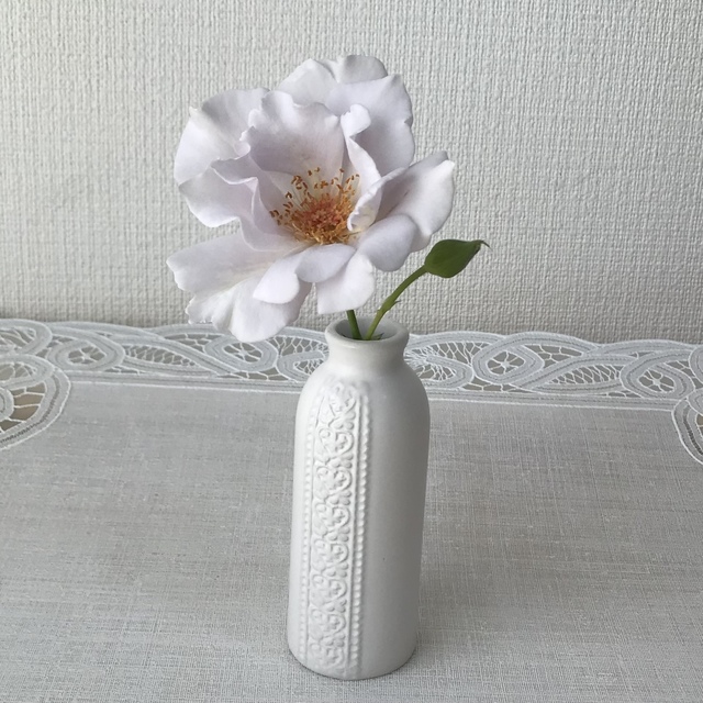 ミスティパープル Green's Garden